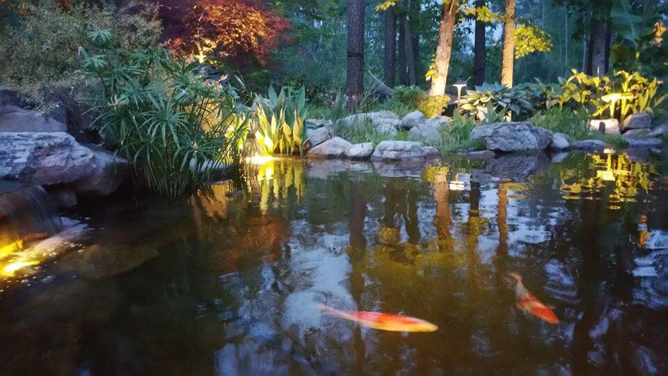 Raleigh Koi Pond Lighting