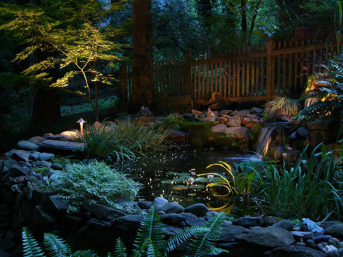 Cary Pond Outdoor Lighting