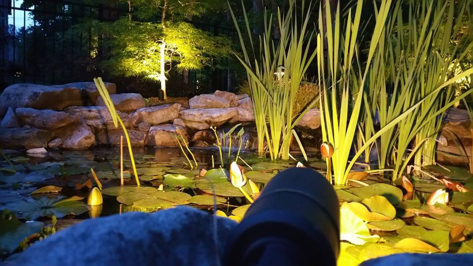 Raleigh Pond Lighting