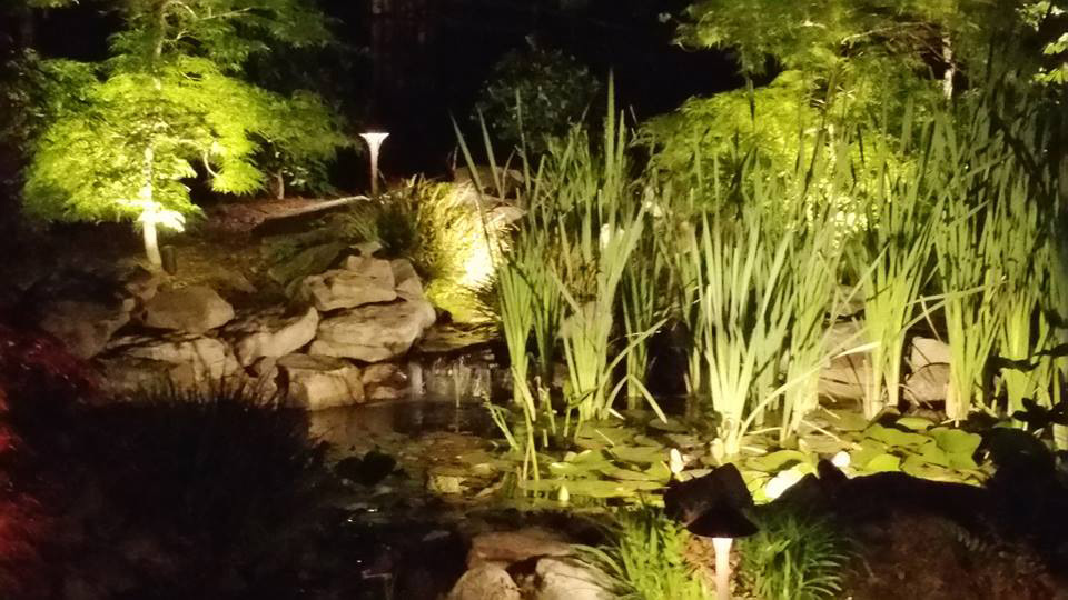 Residential Pond Lighting in Raleigh