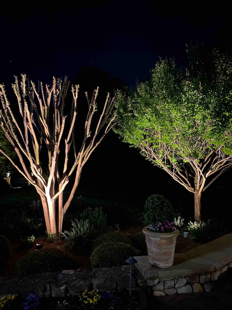 tree lighting installation raleigh