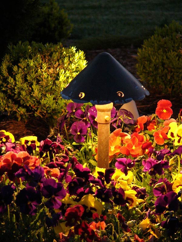 landscape lighting raleigh