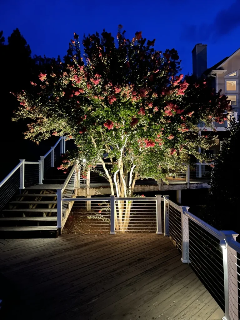 residential tree lighting in raleigh, north carolina